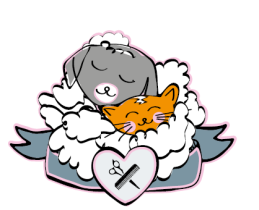 Hundeherz Hundefriseur Groomer Frankfurt